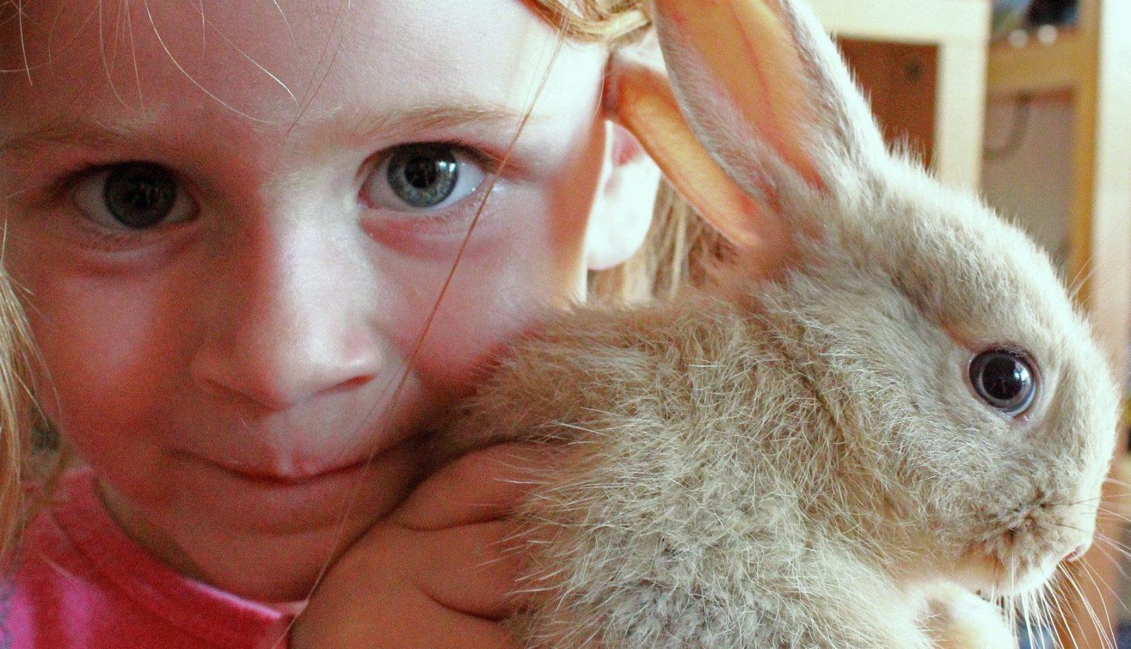 פעילות ODT לילדים