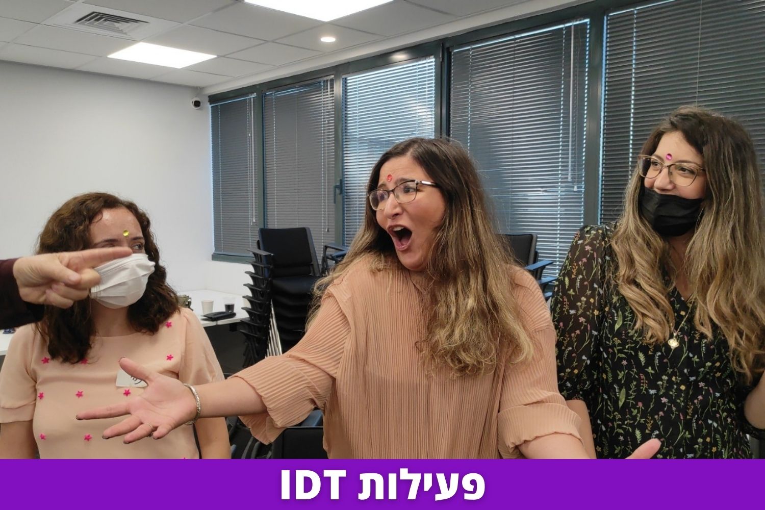 פעילות IDT